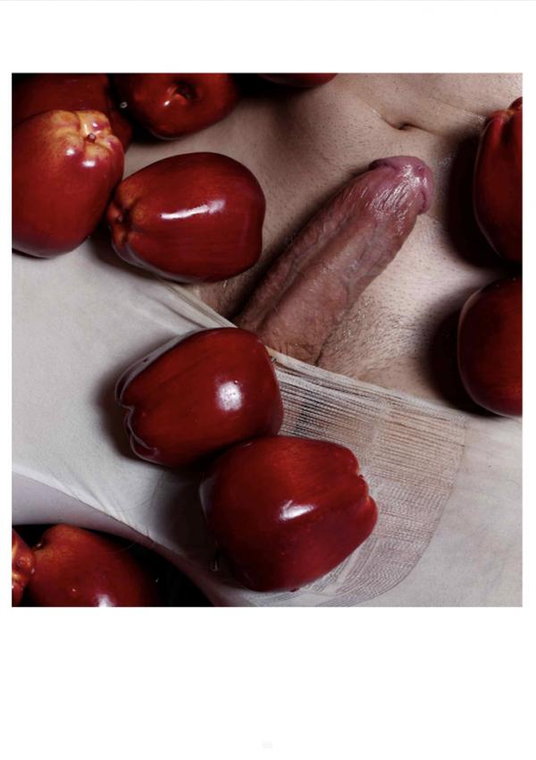 XPERIMENT-16--The-Apple-Picker